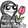 Flork con girasoles 😍🌻🌻 5
