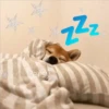 Animalitos para la noche 🌚🌙 5