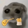 🐀 Rata Triste 🐀🐀 Meme 🐀 7