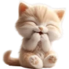 Gatito divertido🐱💞1🇵🇪Clásica 6