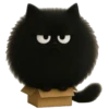 Gatitos gorditos💞1🇵🇪Clásica 8