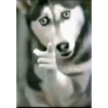 TikTok Reactions 10