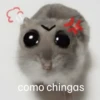 🐀 Rata Triste 🐀🐀 Meme 🐀 8