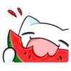 Gato de vacaciones🏖💞1🇵🇪Clásica 12