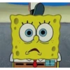 SpongeBob 6 - سبونج بوب 7