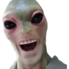 Bebés 8