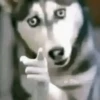 Reacciones de Tiktok 2😎 8