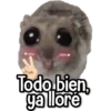Rata Triste🐀🥲 6