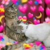 💞💖 AMOR 10 💖💞 7