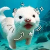 Морские животные 🐳 8
