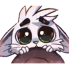 Gato Brad💞1🇵🇪Clásica 8