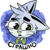 Gato Brad💞1🇵🇪Clásica 9