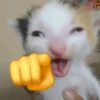 Reacciones de Tiktok 2😎 9
