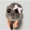 Rata Triste-Memes🐭🥹✨ 5
