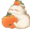 Gatitos gorditos💞1🇵🇪Clásica 11