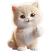 Gatito divertido🐱💞1🇵🇪Clásica 10