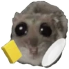 Rata triste Hámster Memes 🐭🐹 5