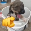 Bebés 12