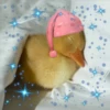 Animalitos para la noche 🌚🌙 8