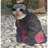 Cats [02] 10
