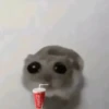 Rata Triste-Memes🐭🥹✨ 8