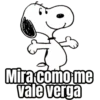 Memes - Snoopy grosero 🤣 7