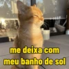 calor do djabo 🥵🌞 6