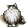 Gatitos gorditos💞1🇵🇪Clásica 12