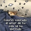 Animalitos para la noche 🌚🌙 9