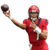 GarrettMVP - Houston Texans 2025 15
