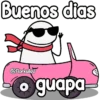 Flork en auto 😎✨ 8