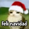 Liza Feli navidad