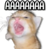 Memes Pal Grupo 2🗣️ 8