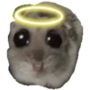 Rata triste Hámster Memes 🐭🐹 7