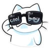 Gato de vacaciones🏖💞1🇵🇪Clásica 18
