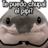 Memes Pal Grupo 2🗣️ 9
