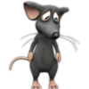 rata triste 😶‍🌫️ rata tímida 💖 6