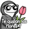 Flork con girasoles 😍🌻🌻 16