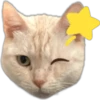 Silver tigrer 🐱 17