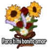 🌻Flores Amarillas🌻 6