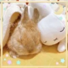 Animalitos para la noche 🌚🌙 11