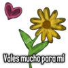 🌻Flores Amarillas🌻 8