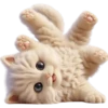 Gatito divertido🐱💞1🇵🇪Clásica 13