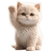 Gatito divertido🐱💞1🇵🇪Clásica 15