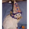 Cats [02] 20