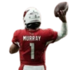 GarrettMVP - Arizona Cardinals 2025 5