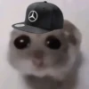 🐀 Rata Triste 🐀🐀 Meme 🐀 13