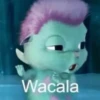 Memes pal chat🤎 10