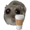 Rata triste Hámster Memes 🐭🐹 10