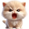 Gatito divertido🐱💞1🇵🇪Clásica 16